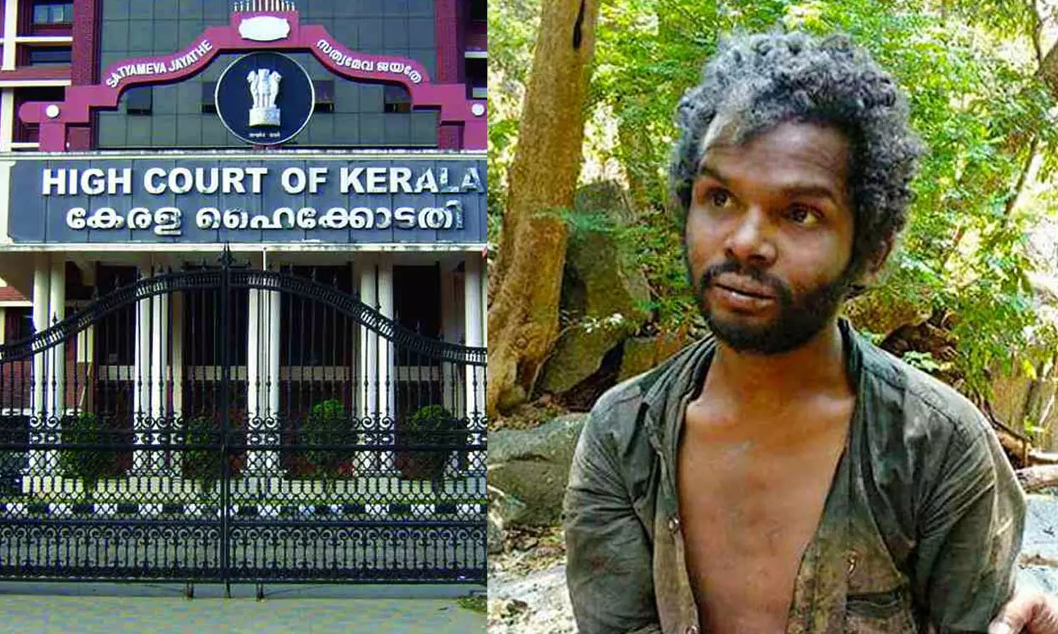 മധു കൊലപാതകം; കേസിന്‍റെ വിചാരണ ഹൈക്കോടതി സ്റ്റേ ചെയ്തു.