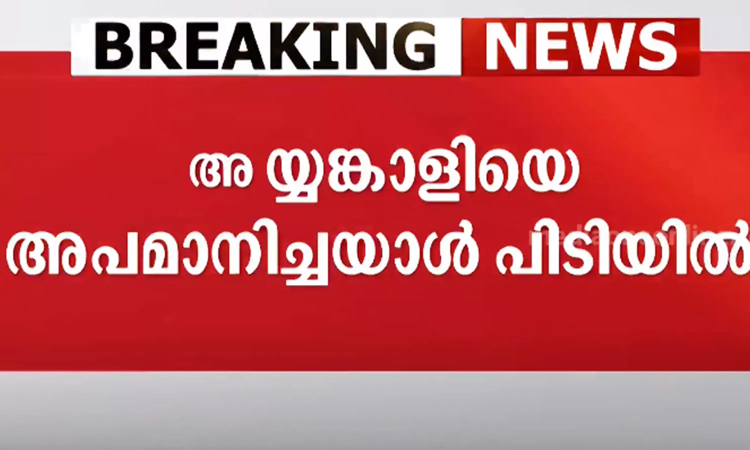 അയ്യങ്കാളിയെ സോഷ്യല്‍ സോഷ്യൽ മീഡിയ വഴി അപമാനിച്ച ആൾ പിടിയിൽ