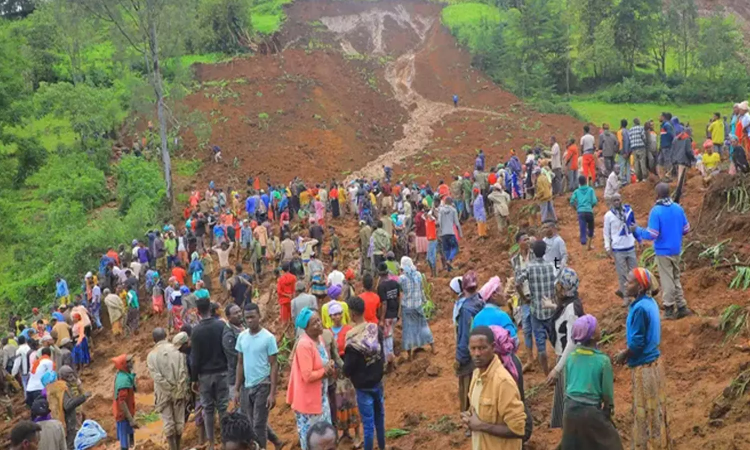 Landslides in Ethiopia: 229 our bodies discovered