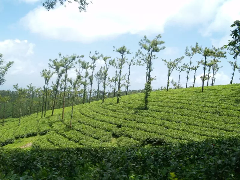 പരിസ്ഥിതിലോല നിയമം അട്ടിമറിക്കാൻ സർക്കാർ നീക്കം